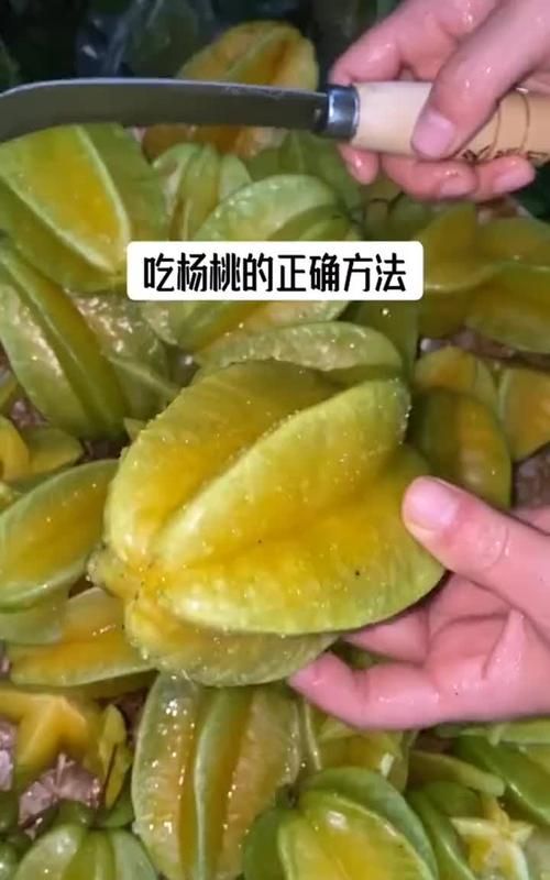 新鲜杨桃怎么保存方法