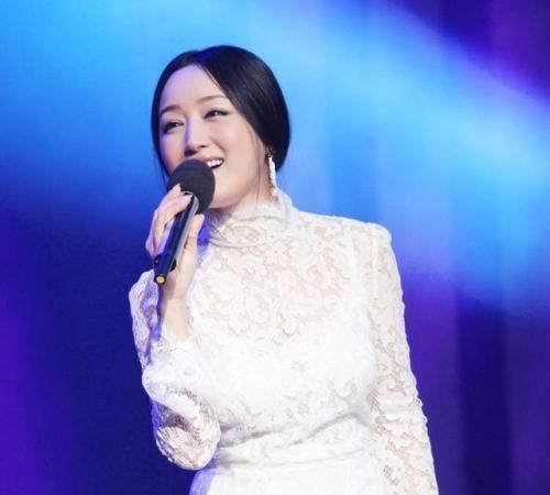 杨钰莹年龄和个人资料，董文华和杨钰莹的年龄？图8