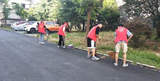 志愿者活动有哪些,大学青年志愿者活动校内有哪些图1