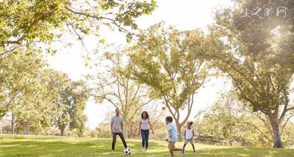 志愿者活动有哪些,大学青年志愿者活动校内有哪些图3