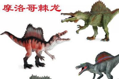 ​棘背龙和棘龙有区别吗