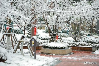 ​除夜雪的作者是谁（陆游除夜雪古诗的意思翻译）
