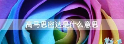 ​思密达啥意思,思密达是什么意思