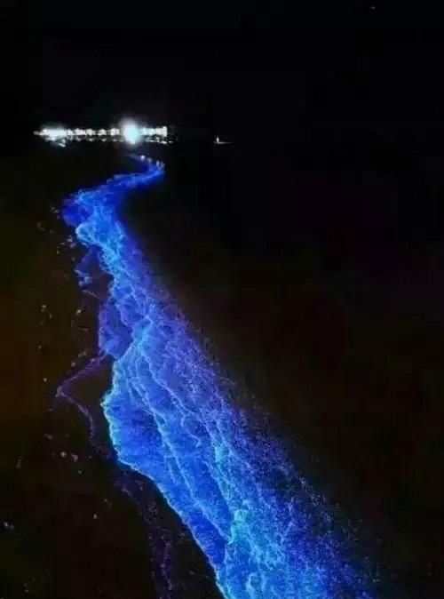 福建平潭岛蓝眼泪是几月份