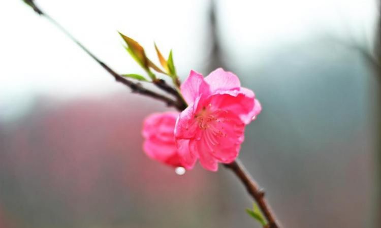 总是玉关情前面是什么