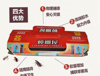 ​84能灭蟑螂,84消毒液能杀死蟑螂吗