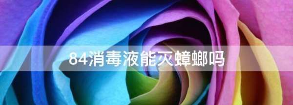 84能灭蟑螂,84消毒液能杀死蟑螂吗图3
