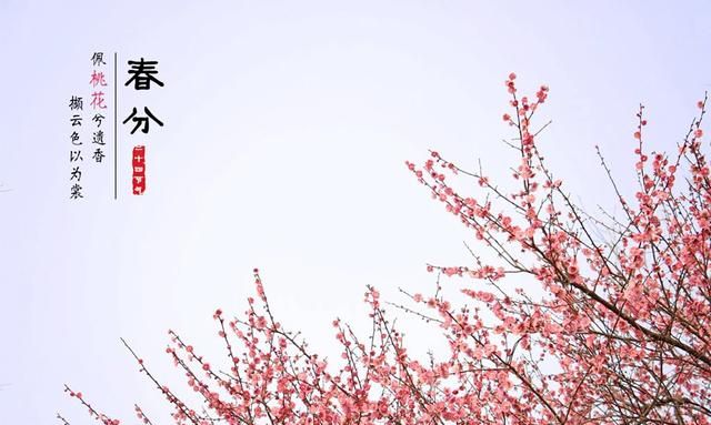 春分的风俗活动和寓意，春分快到了，有关“春分南风，先雨后旱”是啥意思？图5