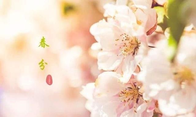 春分的风俗活动和寓意，春分快到了，有关“春分南风，先雨后旱”是啥意思？图3