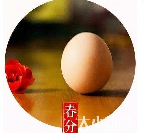 春分在江苏盐城有什么寓意