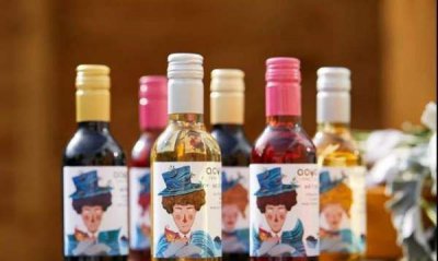 ​红酒分几种类型,红酒分类是怎么分的