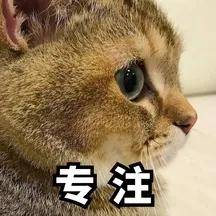 只是26部分具有世界一半财富？都是谁？