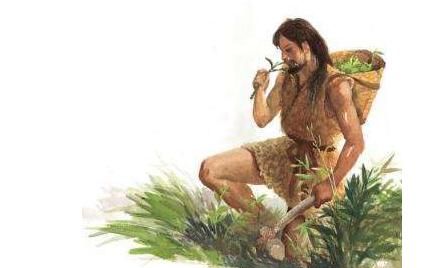 白茶由来，“普洱茶”名称的由来和源考？图12