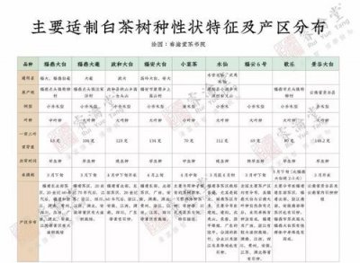 ​白茶由来，“普洱茶”名称的由来和源考？