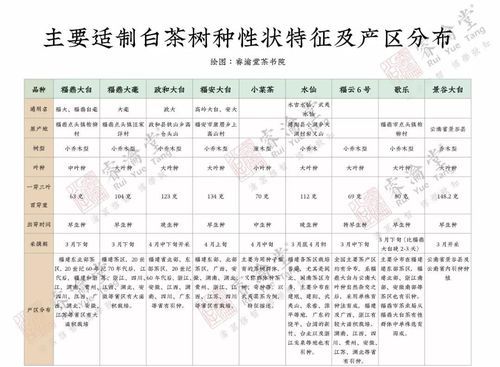 “普洱茶”名称的由来和源考