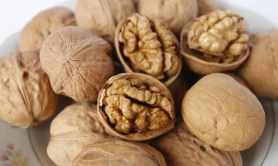 ​新鲜核桃怎么保存,怎么保存新鲜的核桃仁