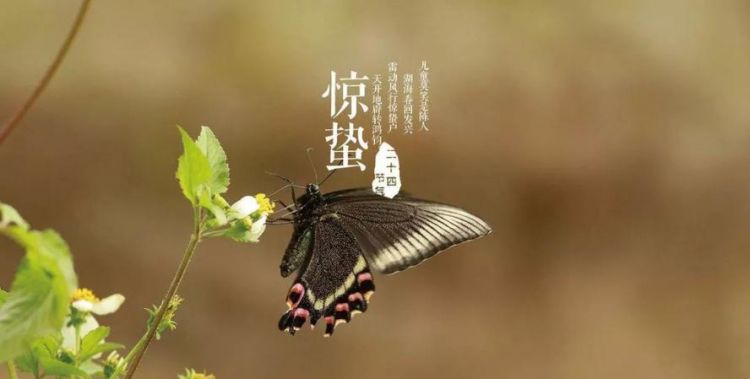 惊蛰这个节气有哪些特点