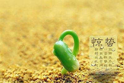惊蛰有什么气候特征,惊蛰这个节气有哪些特点图2