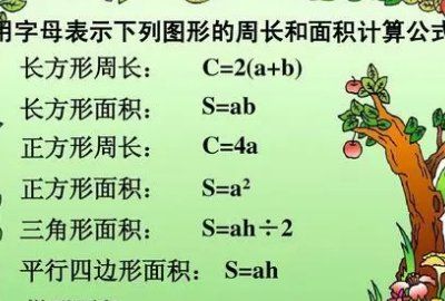 正方形面积公式,正方形面积计算公式图1
