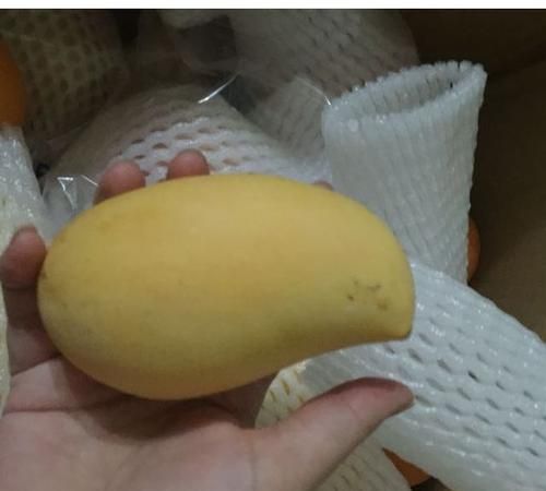 芒果能直接吃吗