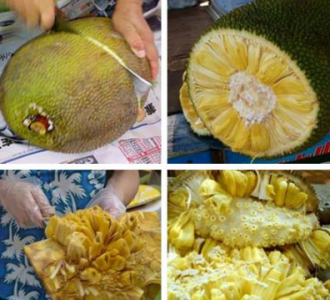 ​菠萝菠萝蜜怎么剥开,菠萝菠萝蜜的手怎么洗