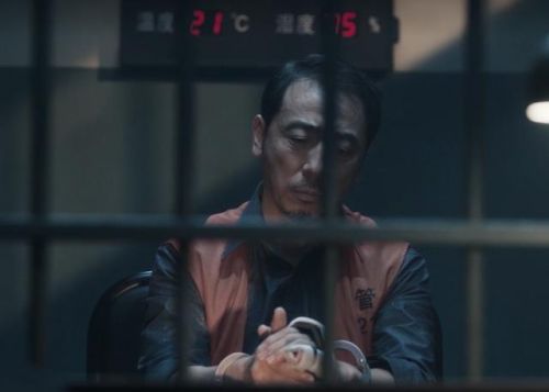 扫黑风暴每天更新几集?(扫黑风暴每天更新几集几点更新)-第2张图片-