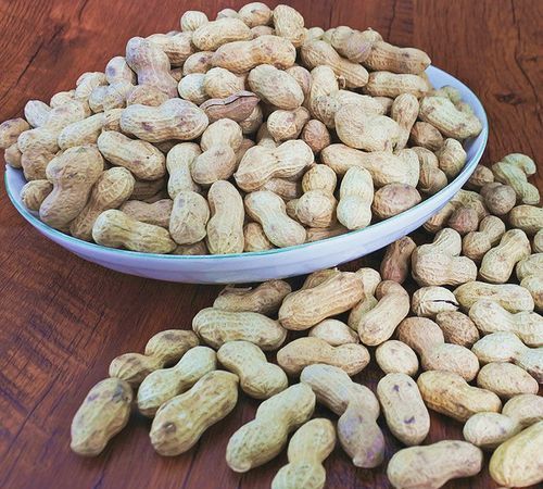 煮带皮花生需要多长时间能熟