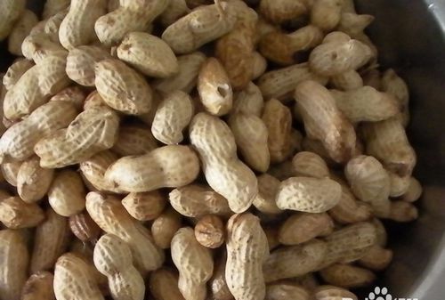煮带壳花生多长时间花生需要多长时间