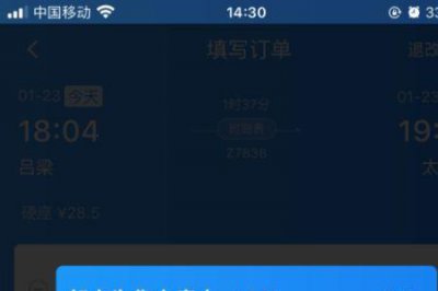 ​火车票显示占座中是什么意思