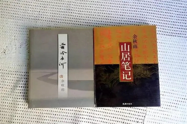 余秋雨的作品有哪些：文化苦旅（余秋雨的艺术）