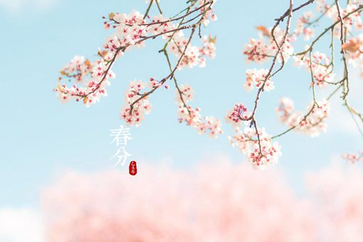 春分为什么要竖蛋?
