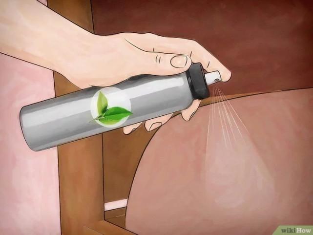 床虱咬过后的疙瘩图片(床虱咬过后的疙瘩怎么消除)