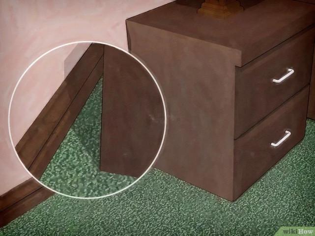 床虱咬过后的疙瘩图片(床虱咬过后的疙瘩怎么消除)