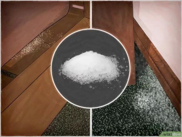 床虱咬过后的疙瘩图片(床虱咬过后的疙瘩怎么消除)