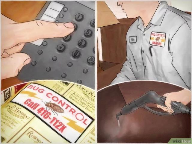 床虱咬过后的疙瘩图片(床虱咬过后的疙瘩怎么消除)