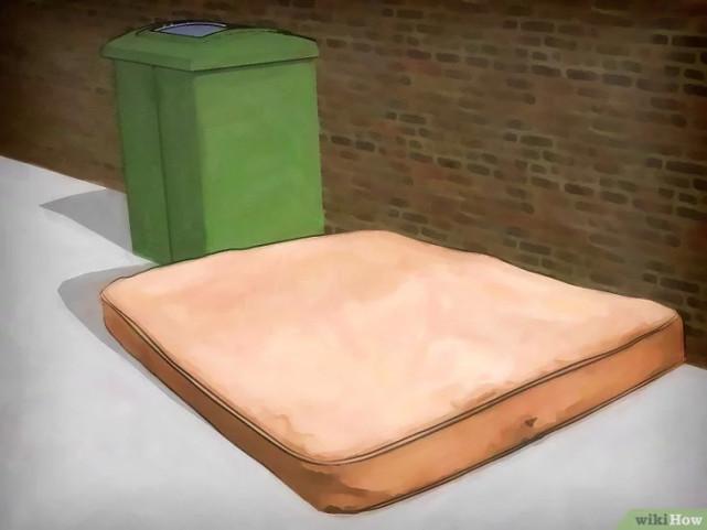 床虱咬过后的疙瘩图片(床虱咬过后的疙瘩怎么消除)