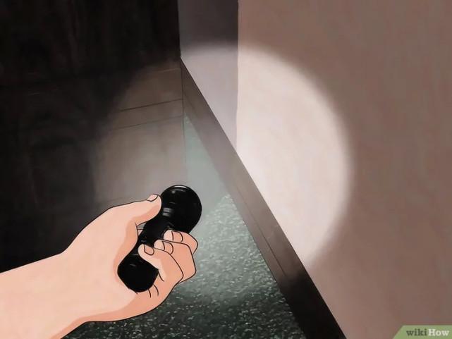 床虱咬过后的疙瘩图片(床虱咬过后的疙瘩怎么消除)