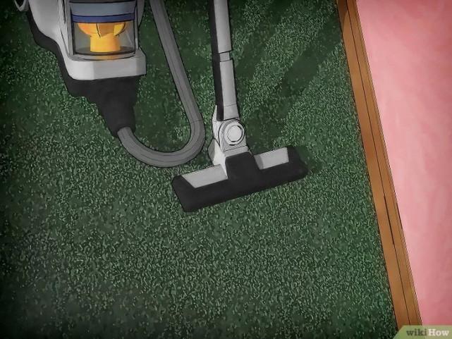 床虱咬过后的疙瘩图片(床虱咬过后的疙瘩怎么消除)