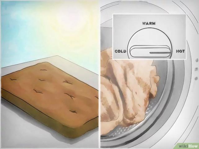 床虱咬过后的疙瘩图片(床虱咬过后的疙瘩怎么消除)