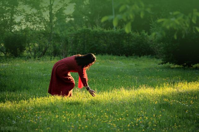 少年不识愁为赋新词强说愁（少年不识愁滋味）(1)