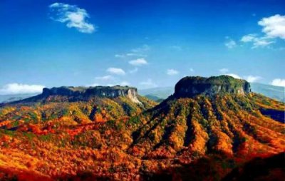 ​川北王酒价格(广元川北王酒)