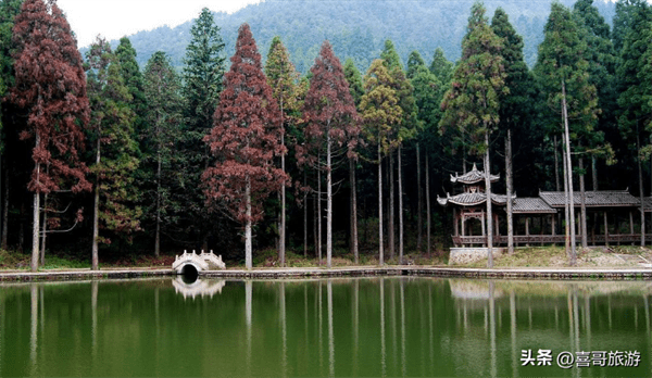 顺德一日游必去十大景点(顺德一日游最佳去处)