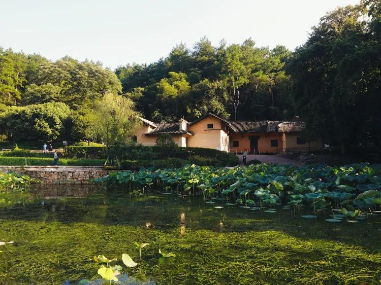 湘潭最值得去的景点有哪些(湘潭旅游景点有哪些地方)