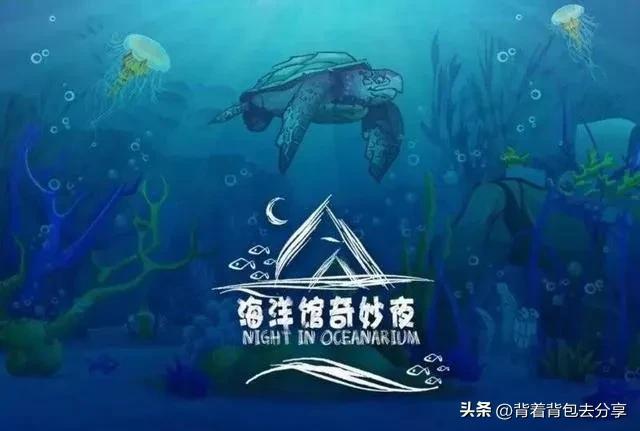 中国人气最旺的海洋公园推荐(中国最好的十大海洋公园)