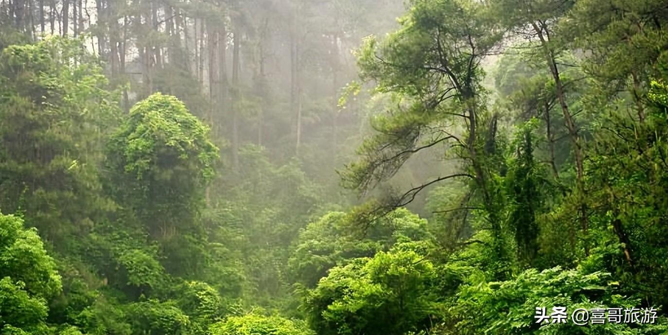 象山区是哪个城市(象山区有多少个乡镇)