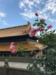 ​普陀山一日游最佳攻略