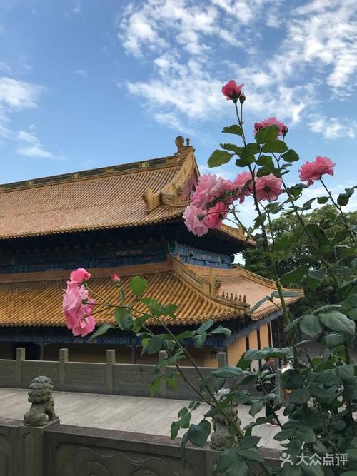 2、坐景区班车到普陀山,在三元殿处售票入庙,然后坐公交车到观音广场。