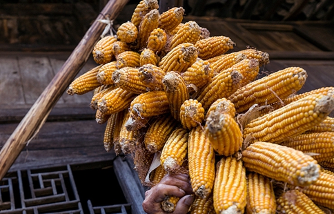 明朝灭亡的真正原因是什么?