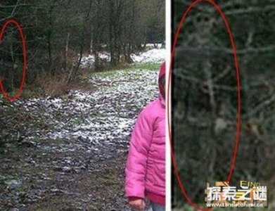 ​明故宫灵异事件揭秘(宫女魅影:1992年故宫灵异事件揭秘)
