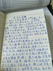 ​龟兔赛跑原文文章(伊索寓言龟兔赛跑原文)